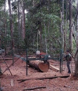 29-07-ambiental-colniza-2