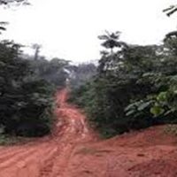 fazenda