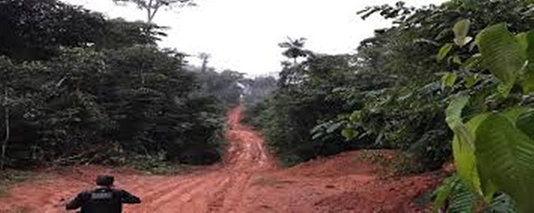 fazenda