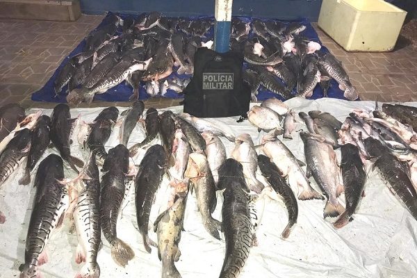 pesca