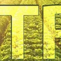 itr