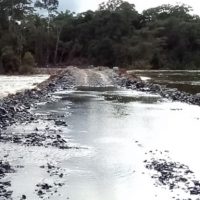ponte-2