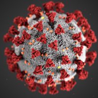 coronavirus-1