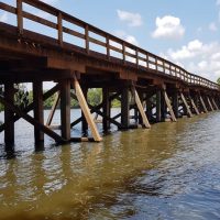 ponte