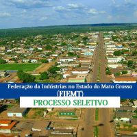 fiemt