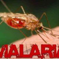 malaria
