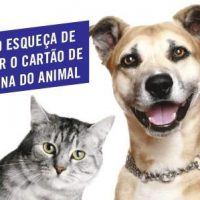 vacinacao