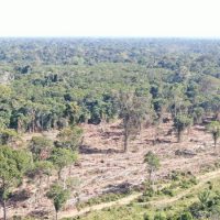 operacao-desmatamento-regiao-noroeste