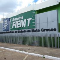 fiemt