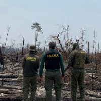 operacao-conjunta-em-colniza-contra-desmatamento-ilegal