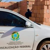 fisca