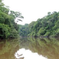 rio_guariba___mt_9933