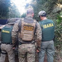 ibama