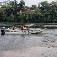 pesca