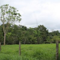 sitio