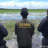 sema