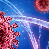 banner-coronavirus_0