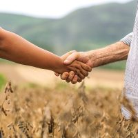 foto-lca-investimento-amplia-base-de-credito-rural-concedido-aos-associados_credito-divulgacao-sicredi