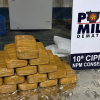 02-04-trafico-conselvan-1