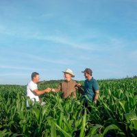 atendimento-associado-agro_credito-divulgacao